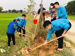 Huyện Đoàn Cẩm Giàng phấn đấu trồng mới 2.000 cây xanh
